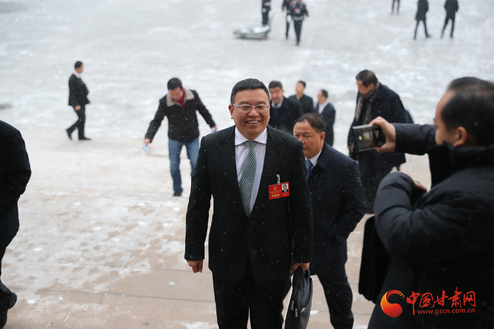 【聚焦2020甘肅兩會】“兩會”代表、委員風采掠影（組圖）