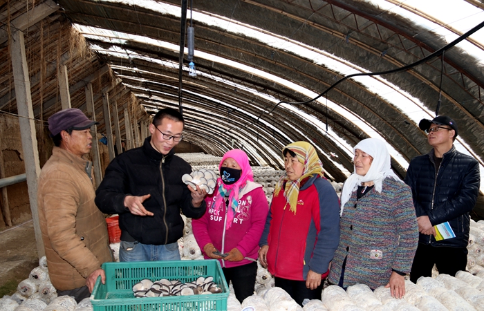 1579440468204929.jpg 微信圖片_20200119212946.jpg