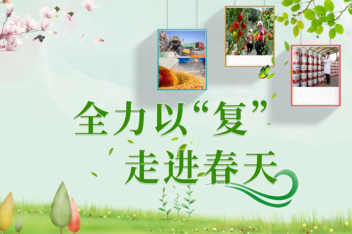 長圖|全力以“復”！甘肅走進春天里  