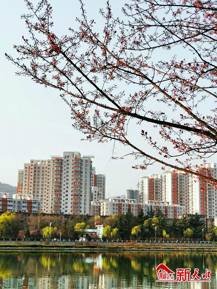 春天，古城天水的十個美麗瞬間