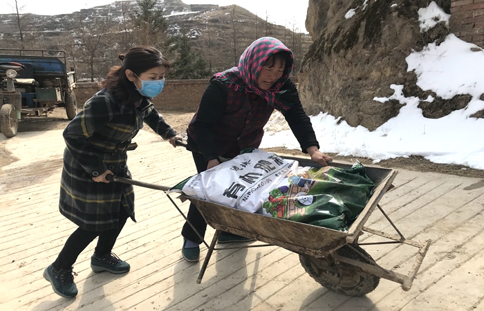 1585128335739043.jpg 幫扶干部幫群眾將化肥運(yùn)送到家 (2).jpg