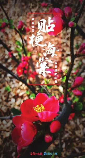 來(lái)，跟這些美美的花朵認(rèn)識(shí)一下！