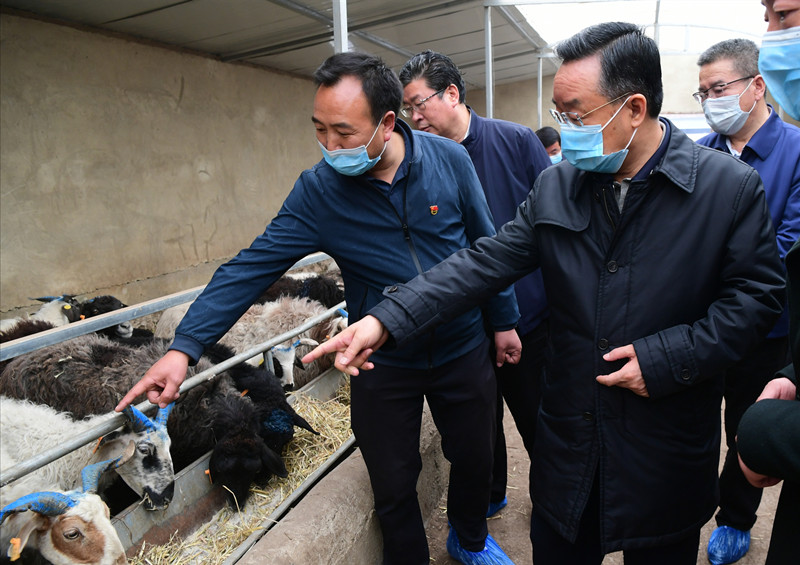 唐仁健在岷縣宕昌縣調(diào)研指導(dǎo)脫貧攻堅工作時強(qiáng)調(diào) 把好收官標(biāo)準(zhǔn) 確保脫貧質(zhì)量 奮力奪取脫貧攻堅全面勝利