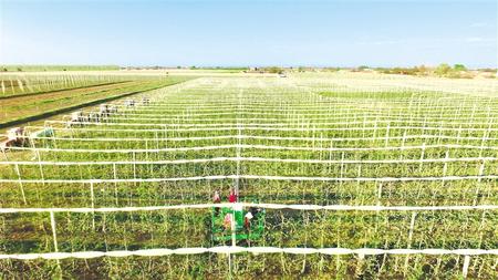 聚焦精準攻堅 做實產(chǎn)業(yè)扶貧——慶陽市脫貧攻堅工作綜述