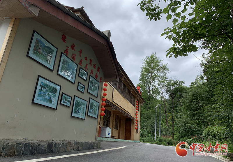 【走向我們的小康生活】村美、業(yè)興、民富……康縣何家莊描繪鄉(xiāng)村振興新畫卷（圖）