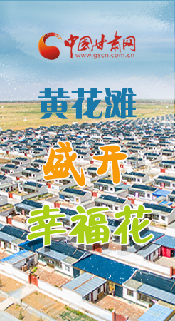 【跟著總書記看甘肅】長(zhǎng)圖|武威黃花灘盛開(kāi)幸?；?