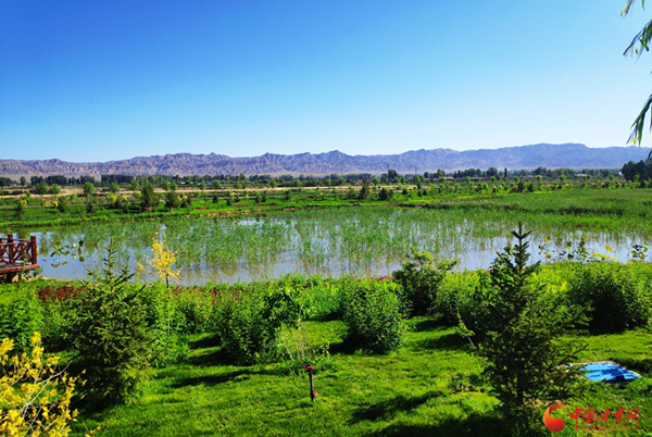 【跟著總書記看甘肅】張掖山丹：生態(tài)治理見成效 水潤(rùn)丹城惠民生