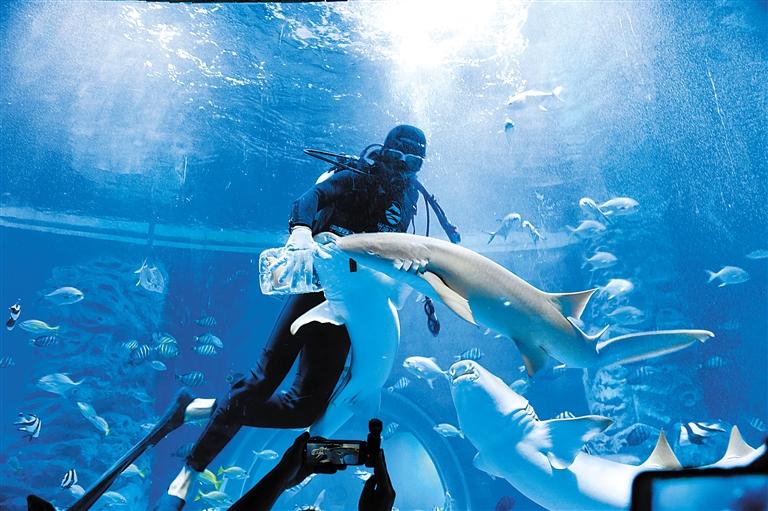 蘭州海洋公園 金昌火星1號基地 這個暑假我們“上天入?！?>
        </a><em>蘭州海洋公園 金昌火星1號基地 這個暑假我們“上天入海”</em></li>
    <li><a  target=