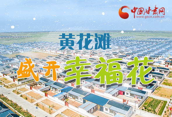 【跟著總書記看甘肅】長(zhǎng)圖|武威黃花灘盛開(kāi)幸福花 