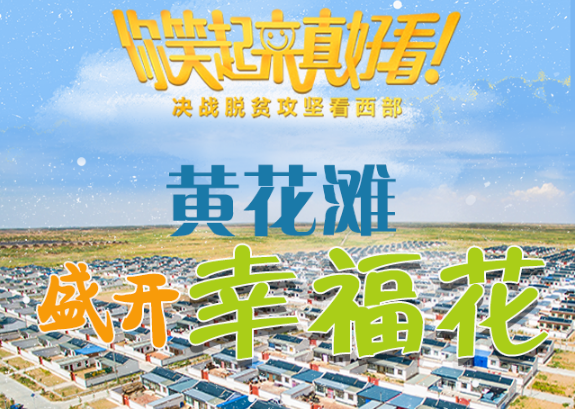 【你笑起來真好看】黃花灘盛開幸?；ǎ▓D解）