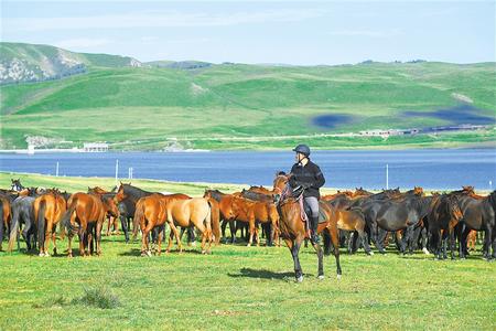 【牢記囑托 砥礪奮進 習(xí)近平總書記視察甘肅一周年】綠水青山終不負(fù)