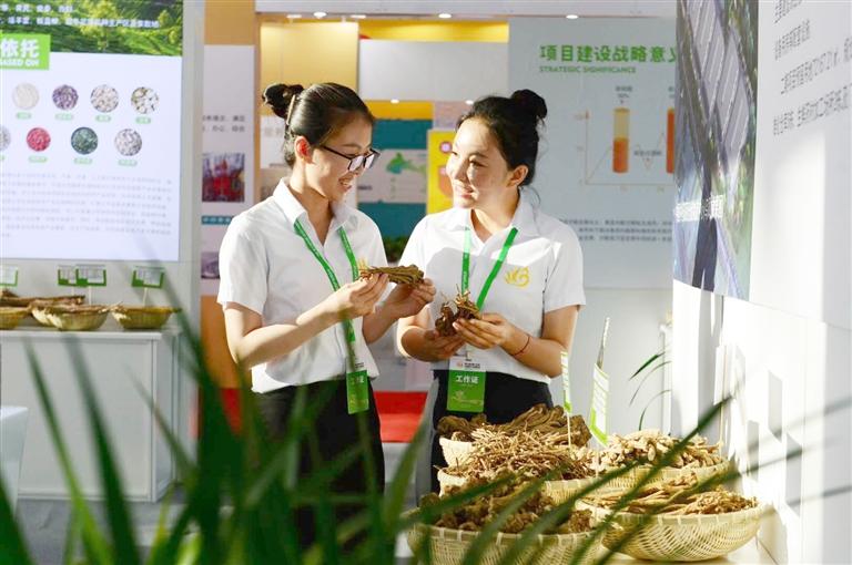 定西，從“千年藥鄉(xiāng)”邁向“中國藥都”