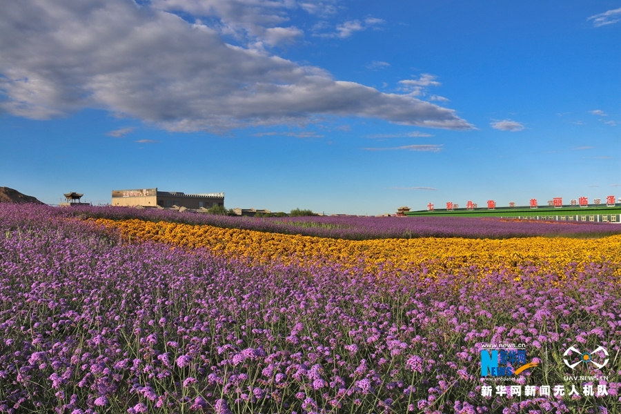 【“飛閱”中國】鳳凰花?！罢钩帷钡は伎?>
        </a><em>【“飛閱”中國】鳳凰花海“展翅”丹霞口</em></li>
    <li><a  target=