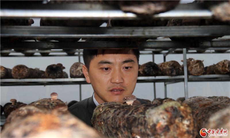 110年！何家溝村終于有了集體經(jīng)濟——中建二局黨建結(jié)對幫扶成效顯著