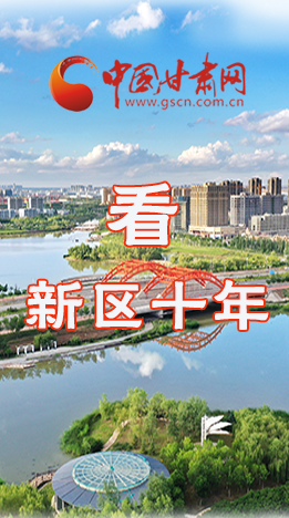 圖解|崛起！新區(qū)十年