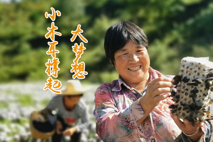 海報(bào)丨他們，乘“豐”破浪！