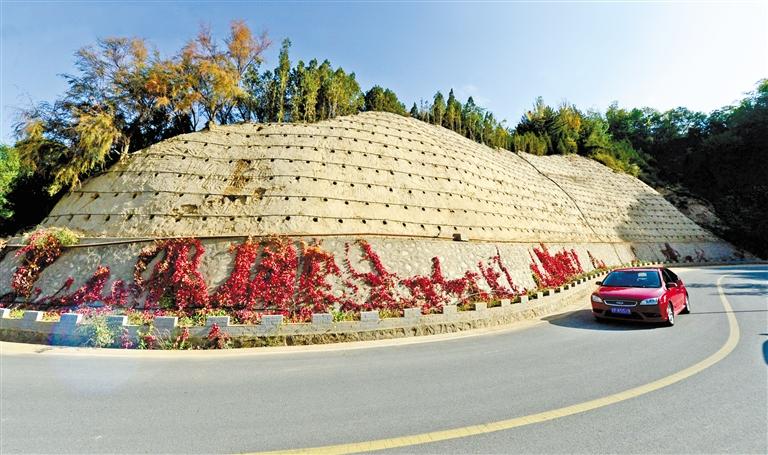 近90度陡坡上種樹！蘭州南北兩山綠化出新招