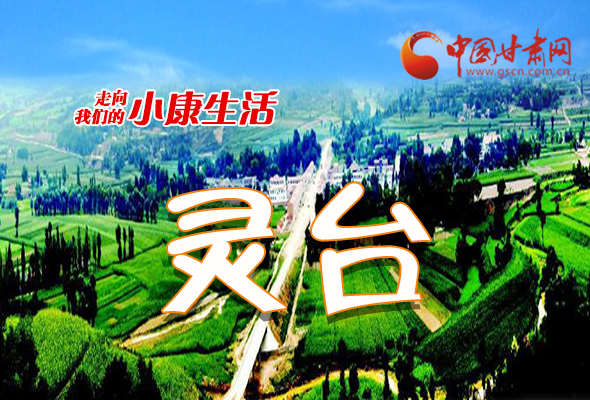 【走向我們的小康生活】長(zhǎng)圖|靈臺(tái)：產(chǎn)業(yè)花開富萬(wàn)家