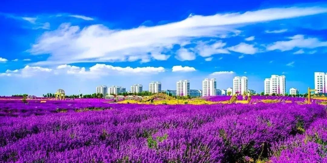 喜訊！金昌蟬聯(lián)全國文明城市