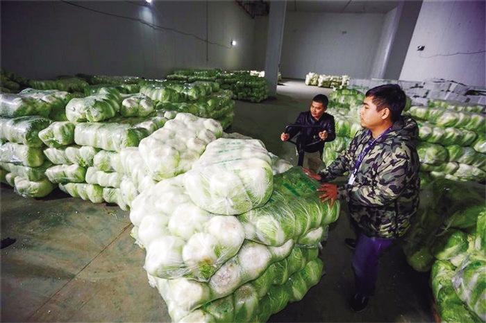 蘭州市已儲備1萬噸冬春蔬菜以耐貯存、易周轉(zhuǎn)品種為主