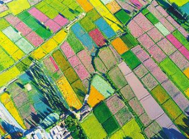 【邁好第一步 見到新氣象】甘肅發(fā)展特色產(chǎn)業(yè)推動脫貧攻堅(jiān)銜接鄉(xiāng)村振興報道之五  織密產(chǎn)業(yè)“安全網(wǎng)” 農(nóng)戶吃上“定心丸”