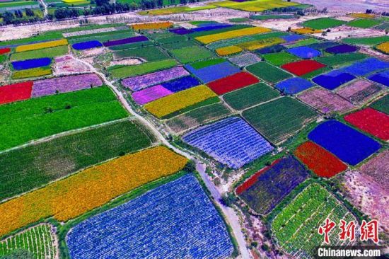 甘肅酒泉：除了天時地利，還有一“種”力