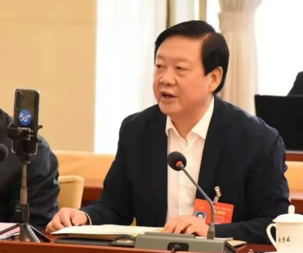 【聚焦2021全國兩會】全國人大代表、市委書記楊維俊接受中國日報記者采訪