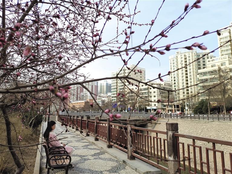 蘭州“第一朵花”開了！