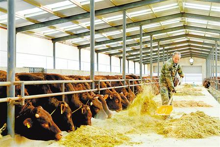 【鄉(xiāng)村·新視角】平涼靜寧：黨建引領鄉(xiāng)村振興