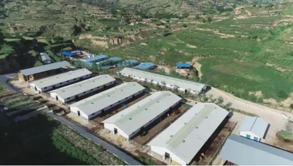 “莊浪模式”賦能產(chǎn)業(yè)提質(zhì)增效