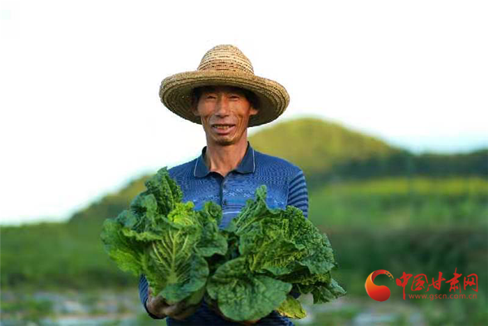 【小康圓夢(mèng)·看甘肅】榆中縣馬坡鄉(xiāng)：“冷涼”蔬菜“火熱”賣(mài) 帶來(lái)小康好生活