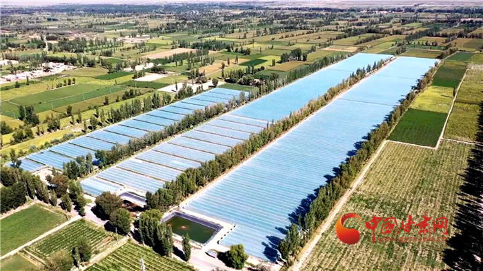 【小康圓夢·看甘肅】酒泉瓜州：高標準農(nóng)田化零為整 高品質蜜瓜增效增收