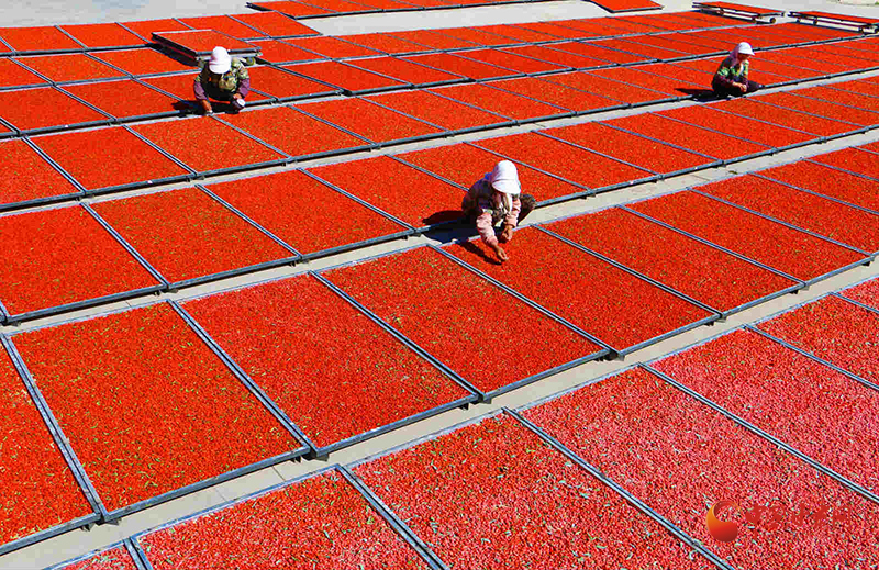 砥礪奮進譜新篇——山丹縣經(jīng)濟社會發(fā)展綜述