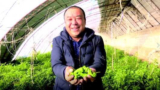 酒泉市瓜州縣廣至藏族鄉(xiāng)農(nóng)產(chǎn)品銷(xiāo)售形勢(shì)向好