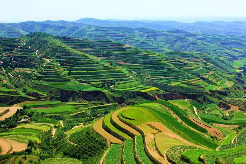 追趕進位，跑好脫貧后的“第一棒”——定西市委書記戴超談“后脫貧”時代定西高質(zhì)量發(fā)展