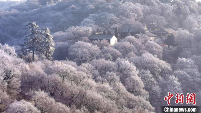 圖為霧凇美景?！⌒煺袢A 攝