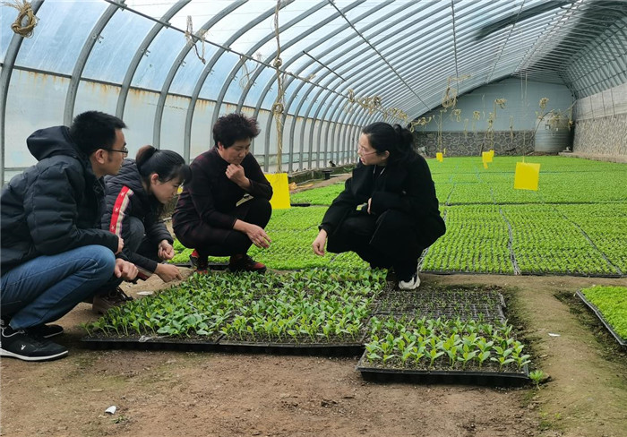 1645779081715468.jpg 白蘭瓜.jpg