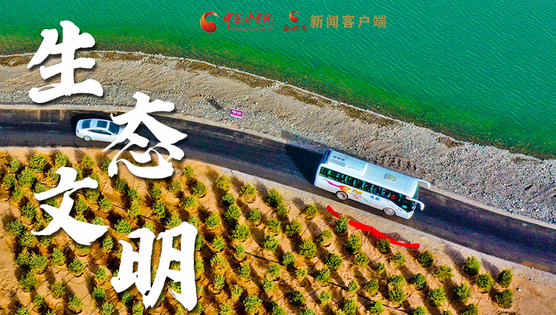 彈幕海報丨熱議甘肅省委十三屆十六次全會 網(wǎng)民聲音在回響！