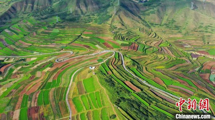 秋日里，榆中縣馬坡鄉(xiāng)千畝梯田，不同農(nóng)作物漸趨成熟，呈現(xiàn)出多種色彩，宛若大地的“調(diào)色盤”?！圆?攝