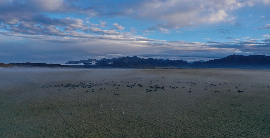 甘肅山丹馬場(chǎng)：峽谷云霧似仙境。 王超攝