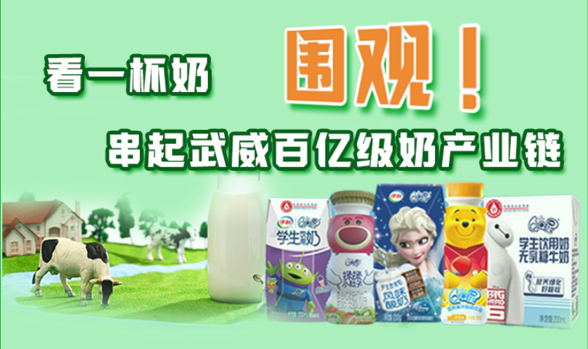 圖解|圍觀！看一杯奶串起武威百億級奶產(chǎn)業(yè)鏈
