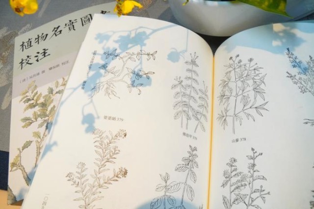 《植物名實圖考校注》內頁。圖片來源：中華書局供圖