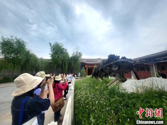 圖為媒體記者在青海永錄民俗參觀采訪?！⊙Φ?攝