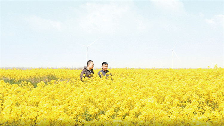 1690758804946509.jpg 33.jpg