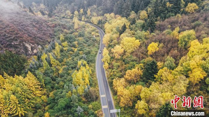 深秋，航拍位于蘭州市榆中縣的興隆山，景色如畫。金峯 攝</p>
<p>