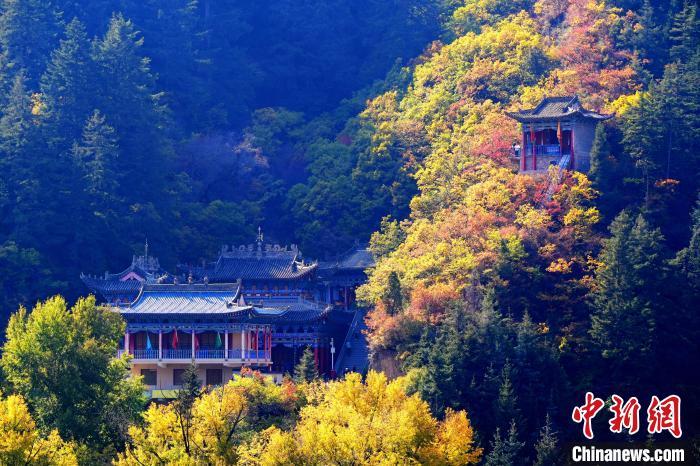 深秋，位于蘭州市榆中縣的興隆山景色如畫。宮衛(wèi)紅 攝