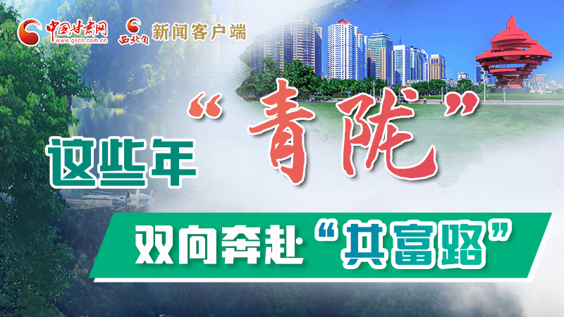 【江河奔流·青隴協(xié)作譜新篇】這些年，“青隴”雙向奔赴“共富路”