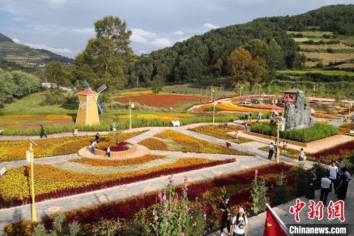 圖為航拍甘肅甘南臨潭縣八角鎮(zhèn)，花海吸引游人。(資料圖)高展 攝