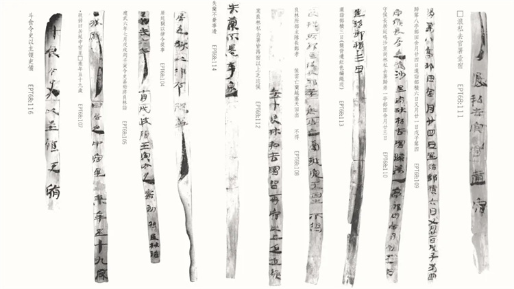 1724629836961262.jpg 20240826_075753_010.jpg