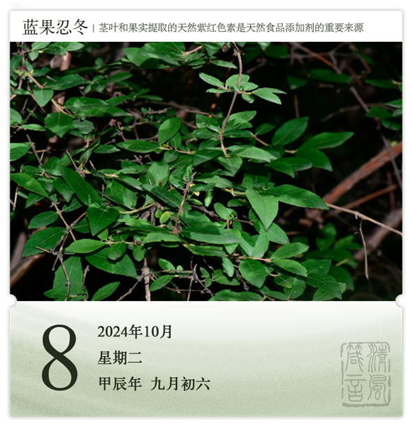 1727681449158035.png 箴歷日歷10-8.png